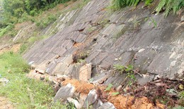 Bắc Giang c&#244;ng bố t&#236;nh huống khẩn cấp sạt lở n&#250;i