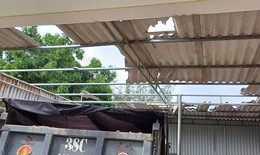 Hà Tĩnh: Lốc xoáy khiến nhà dân tốc mái, cây cối đổ gãy