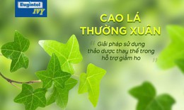 Kh&#225;m ph&#225; thảo dược hỗ trợ giảm ho do vi&#234;m phế quản hiệu quả