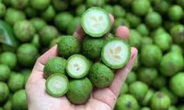 C&#243; n&#234;n uống sấu ng&#226;m đường thường xuy&#234;n?