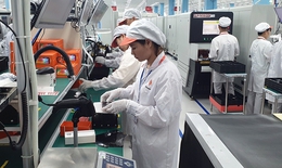 Việt Nam tăng 2 bậc xếp hạng Chỉ số đổi mới sáng tạo toàn cầu