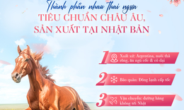 Ứng dụng nhau thai ngựa theo tiêu chuẩn y tế vào làm đẹp