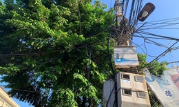 Hai vợ chồng bị điện giật thương vong khi hái khế