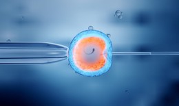 Trẻ sinh ra từ phương ph&#225;p IVF c&#243; nguy cơ mắc c&#225;c bệnh về tim cao hơn?