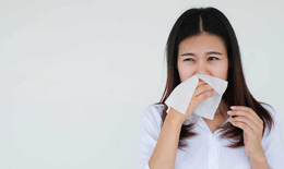 C&#225;ch n&#224;o giảm nhanh triệu chứng kh&#243; chịu do vi&#234;m mũi dị ứng?