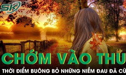 PODCAST: Chớm v&#224;o thu cũng l&#224; l&#250;c để bu&#244;ng bỏ những niềm đau đ&#227; cũ