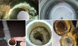 Bạn đã vệ sinh đường ống nước sinh hoạt bao giờ chưa?