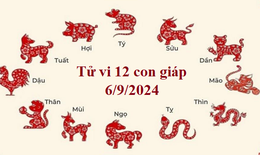 Tử vi 12 con gi&#225;p h&#244;m nay 6/9/2024: Hợi ổn định, Th&#236;n kh&#243; khăn