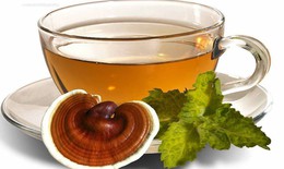 Linh chi loại ‘nấm trường sinh’ nhưng cần lưu &#253; g&#236; khi sử dụng?