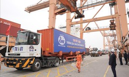Kinh tế Việt Nam qua g&#243;c nh&#236;n quốc tế: Khẳng định vị thế to&#224;n cầu