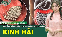 Bản tin Y tế 10/1: H&#224;ng trăm con giun m&#243;c b&#225;m chặt t&#225; tr&#224;ng g&#226;y mất m&#225;u nghi&#234;m trọng