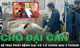 Ch&#243; dại cắn, b&#233; trai 11 tuổi kh&#244;ng qua khỏi sau 3 th&#225;ng