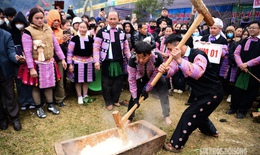 Tục giã bánh dày của người Mông trong dịp Tết