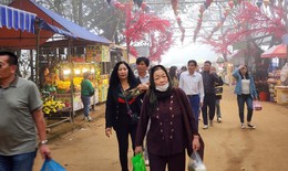 Chơi xuân trên đất xứ Thanh