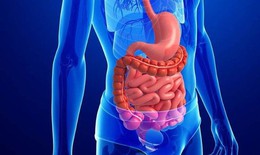 Cách cải thiện sức khỏe đường ruột