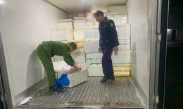 Chặn 7 tấn lòng lợn chuẩn bị đưa ra thị trường