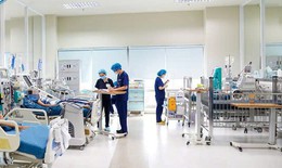 Cứu sống bệnh nhi người Úc mắc sốt rét ác tính, suy đa cơ quan nguy kịch