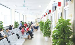 Bệnh viện xanh - sạch - đẹp: Lan tỏa hành động xuất phát từ tâm