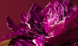 Rau củ màu tím có tác dụng gì?