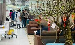 Tết Ất Tỵ, đã ghi nhận 247 ca khám, cấp cứu vì ngộ độc thức ăn tự chế biến, say bia rượu