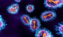 Bộ Y tế thông tin mới nhất về bệnh do virus gây viêm phổi trên người (hMPV) tại Trung Quốc