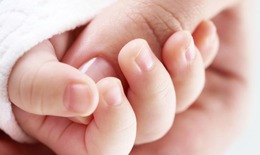 Quy định mới nhất về rà soát, tìm người nhận con nuôi