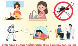 Hướng dẫn cách vệ sinh môi trường, phòng chống dịch bệnh sau thiên tai mưa bão, lũ lụt