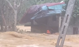 Video: Nghẹt thở khoảnh khắc lực lượng cứu hộ vượt dòng nước xiết cứu 2 cụ già thoát chết