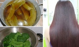 Gội đầu bằng một loại l&#225; gi&#250;p giảm rụng t&#243;c