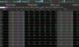 VN-Index li&#234;n tiếp lập kỷ lục