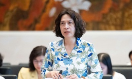 Thứ trưởng Bộ Y tế làm rõ một số ý kiến ĐBQH về 2 dự án luật Phòng bệnh, Dân số