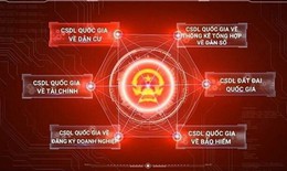 Ho&#224;n thiện phần mềm kiểm so&#225;t t&#224;i sản, thu nhập trước ng&#224;y 25/11