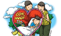 TPHCM dẫn đầu cả nước với 3.639 trường hợp nhận con nuôi trong 15 năm