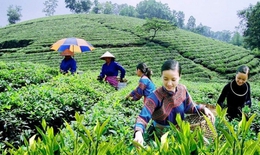 Lào Cai xây dựng nông thôn mới kiểu mẫu từ năm 2025