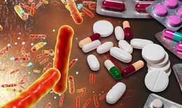 WHO cảnh b&#225;o: Gia tăng kh&#225;ng thuốc kh&#225;ng sinh thiết yếu đe dọa sức khỏe to&#224;n cầu