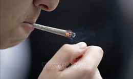 Chuyên gia kêu gọi Anh cấm đầu lọc thuốc lá để bảo vệ sức khỏe và môi trường