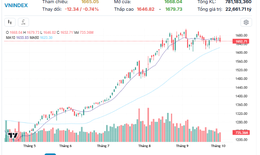VN-Index rơi 12 điểm, tiếp tục t&#237;ch lũy