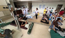 Động đất ở Philippines: 72 người đã thiệt mạng, 294 người khác bị thương