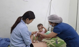 Đánh giá tình trạng dinh dưỡng học đường: Chìa khóa nâng cao sức khỏe và tầm vóc học sinh