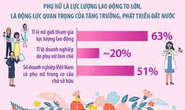 Dấu ấn phụ nữ Việt Nam trong ph&#225;t triển kinh tế-x&#227; hội
