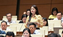 Bạo lực học đường ngày càng nghiêm trọng, ĐBQH kiến nghị gì?