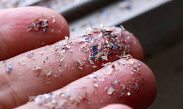 Nam giới trẻ đối mặt nguy cơ v&#244; sinh v&#236; &#244; nhiễm m&#244;i trường