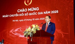 80% dịch vụ c&#244;ng đ&#227; được xử l&#253; ho&#224;n to&#224;n tr&#234;n m&#244;i trường số