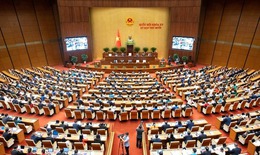 Trình Quốc hội dự án Luật Dân số và Luật Phòng bệnh