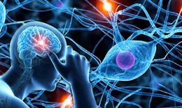 V&#236; sao đ&#224;n &#244;ng tiểu đường dễ mất khả năng cương cứng?