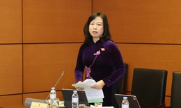 Bộ trưởng Đ&#224;o Hồng Lan chia sẻ về g&#243;c độ tiếp cận của ng&#224;nh y tế khi x&#226;y dựng Luật D&#226;n số v&#224; Luật Ph&#242;ng bệnh