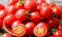 Rau củ nên ăn cho người bệnh trĩ