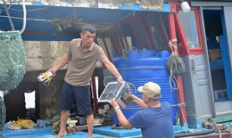 Quảng Ninh: Nhiều t&#224;u c&#225; cố t&#236;nh th&#225;o thiết bị gi&#225;m s&#225;t h&#224;nh tr&#236;nh để khai th&#225;c thủy sản tr&#225;i ph&#233;p