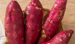 5 t&#225;c dụng bất ngờ khi ăn khoai lang v&#224;o m&#249;a đ&#244;ng