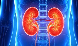 Tăng cường sức khỏe thận - 4 thực phẩm n&#234;n ăn v&#224; 5 loại n&#234;n tr&#225;nh